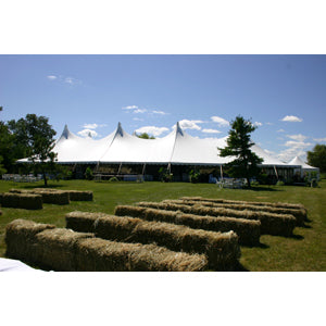 40'x100' Century Pole Canopy