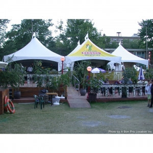 20’ X 20’ Canopy