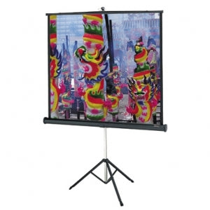 70x70  Projection Screen