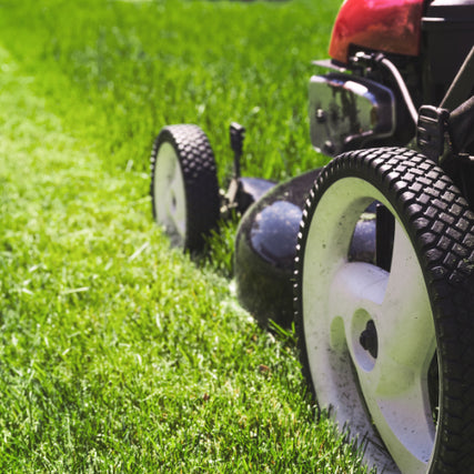 Landscaping RentalsA close up of a push mower cutting grass.