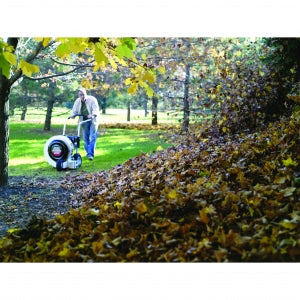 Walk-behind Blower